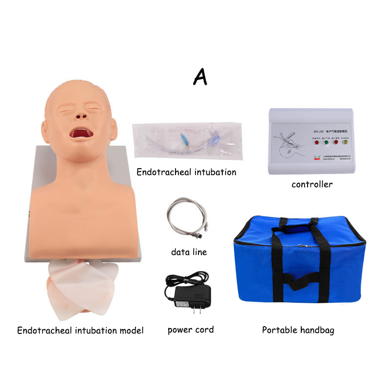 Modello didattico per manichin - Medical Lab Management recensione e prezzo